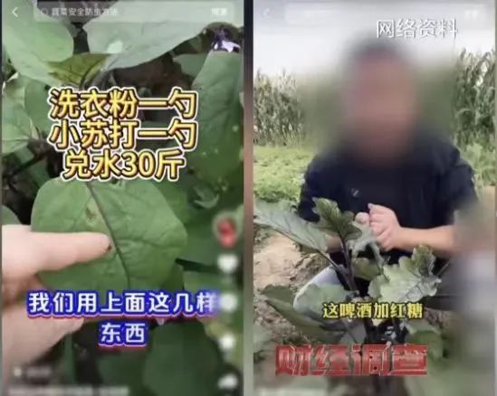 央视财经视频截图