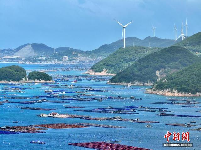 福建连江“海上牧场”蔚为壮观|福建省_新浪财经_新浪网