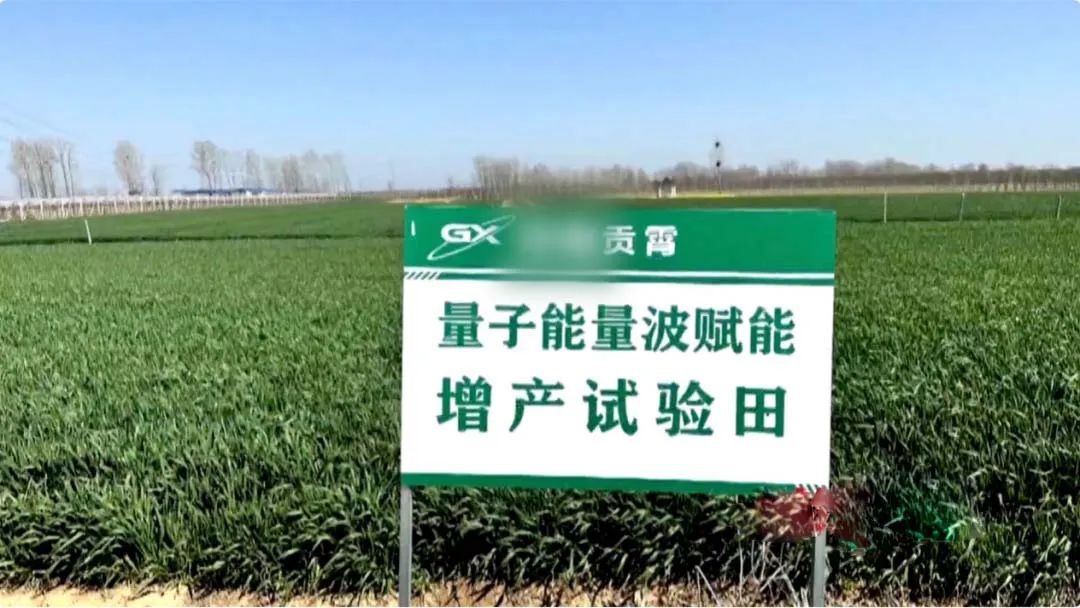 央视财经视频截图