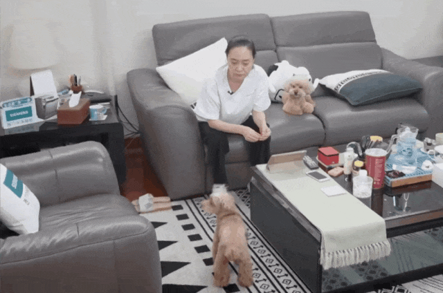 （图/《屋檐之夏》）