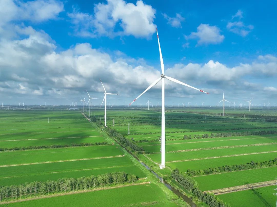 江苏省盐城市风力发电机组。