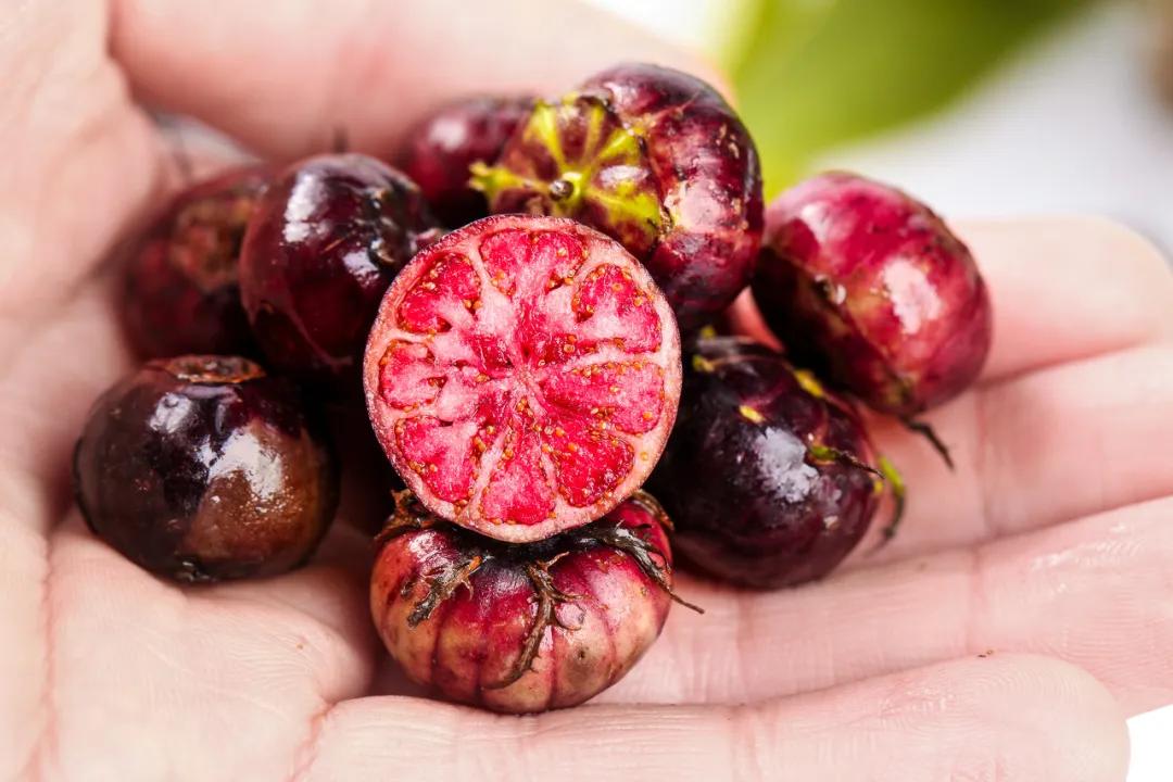 网红水果红果参。（图/图虫创意）