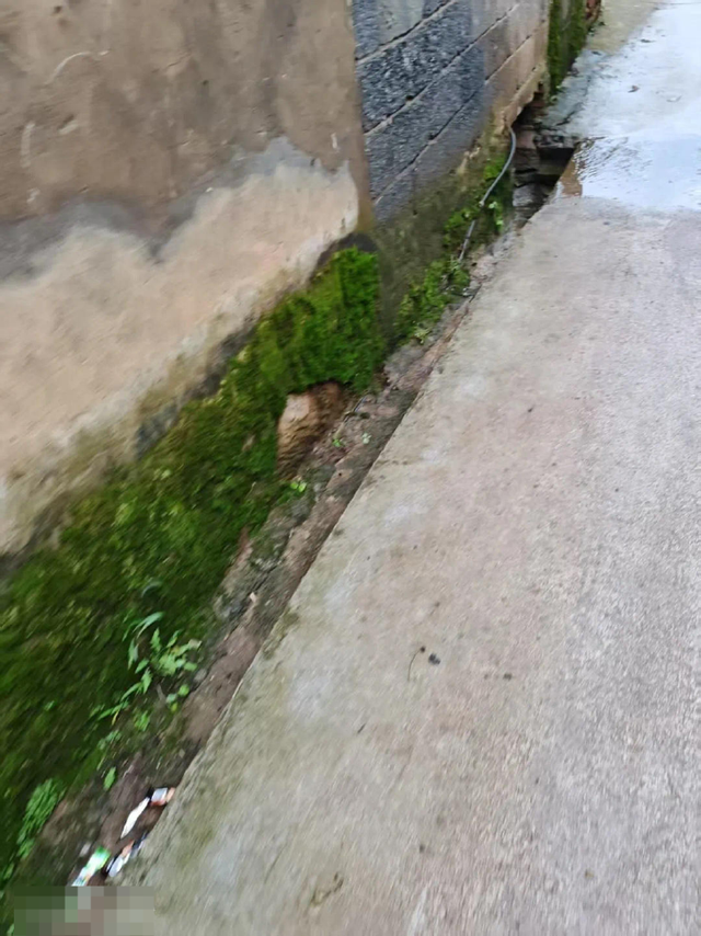 發(fā)現(xiàn)遺體的地方。受訪者供圖