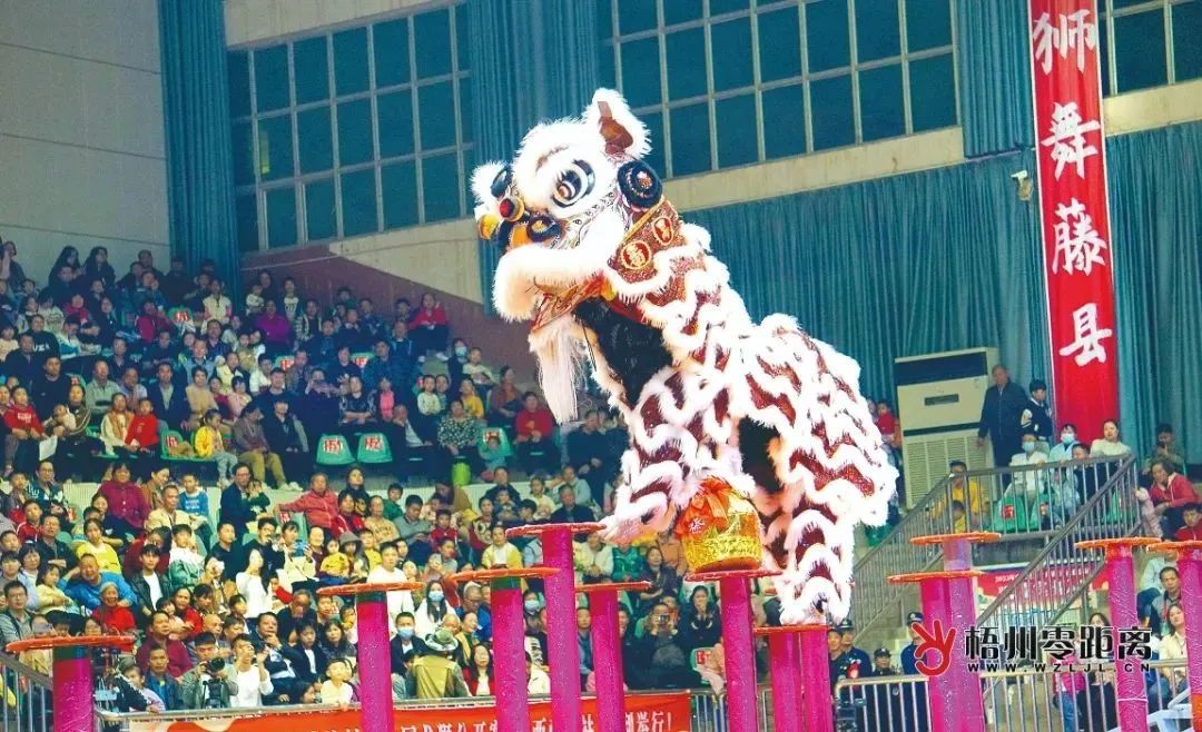 藤縣獅舞。羅金霞 攝