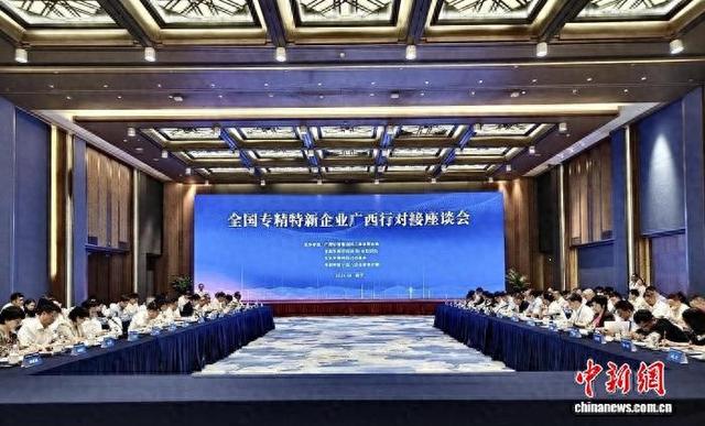 图为全国专精特新企业广西行对接座谈会现场。陈思羽 摄