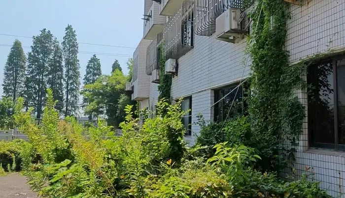 中國稀土總部?jì)?，拍攝：高菁