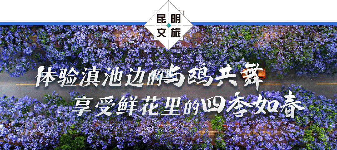 近日，在2025滇池国际咖啡文化嘉年华之际，昆明市文化和旅游局、昆明滇池国家旅游度假区管委会、昆明市文旅集团与