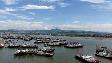 8月16日，停泊在茂名博贺渔港的渔船等待开渔。新华社记者 肖恩楠 摄