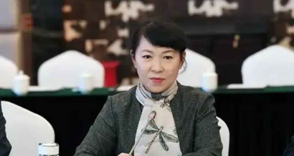 落马高官王莉霞的仕途轨迹:从统计学讲台到内蒙古高层的起落_新浪新闻