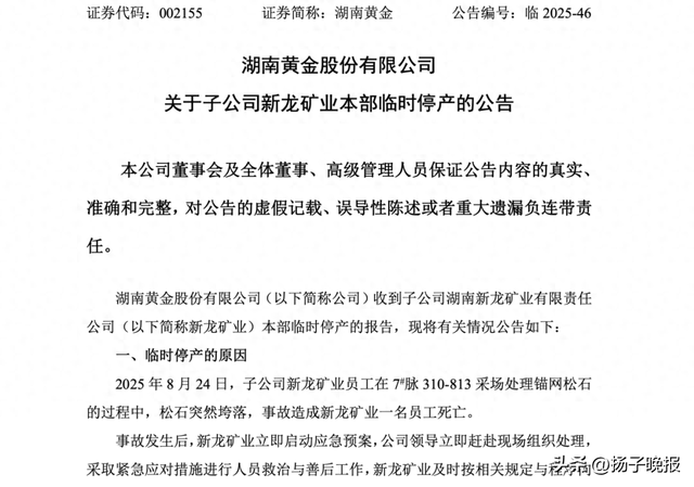 湖南黃金：沉痛哀悼，停產(chǎn)整頓