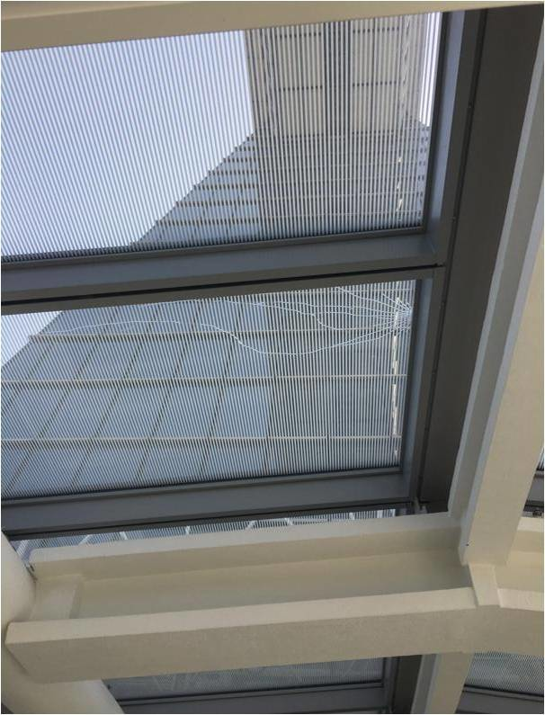 圖片來(lái)源：東方網(wǎng)