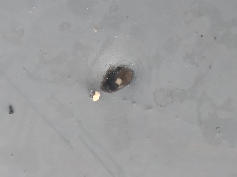 圖片來(lái)源：東方網(wǎng)