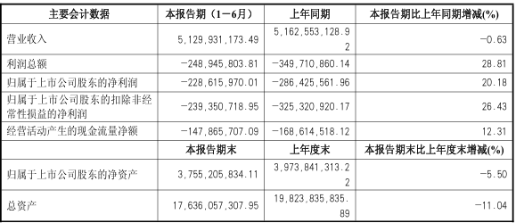 陽(yáng)煤化工：上半年利潤總額