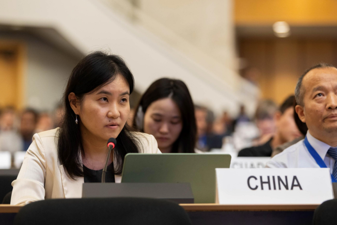 中国代表团成员中国生态环境部国际合作司副司长陈海君闭幕发言。（图源自网络）