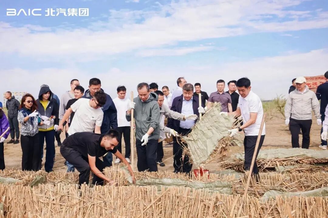 （图源自网络）