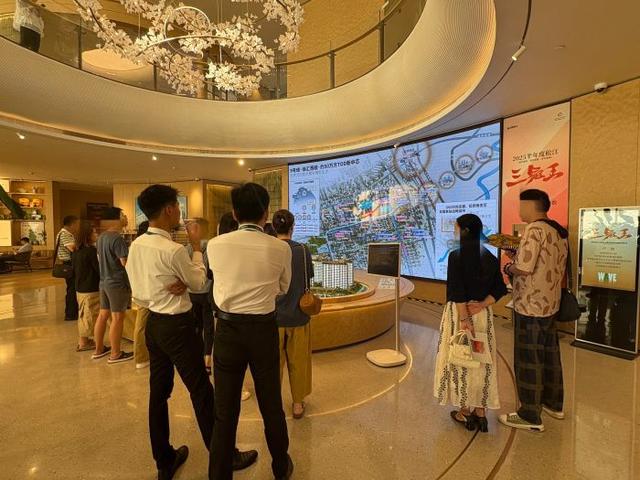 实探!上海楼市新政首周观察:郊区新盘成交翻倍,二手房带看量激增|新政_新浪财经_新浪网