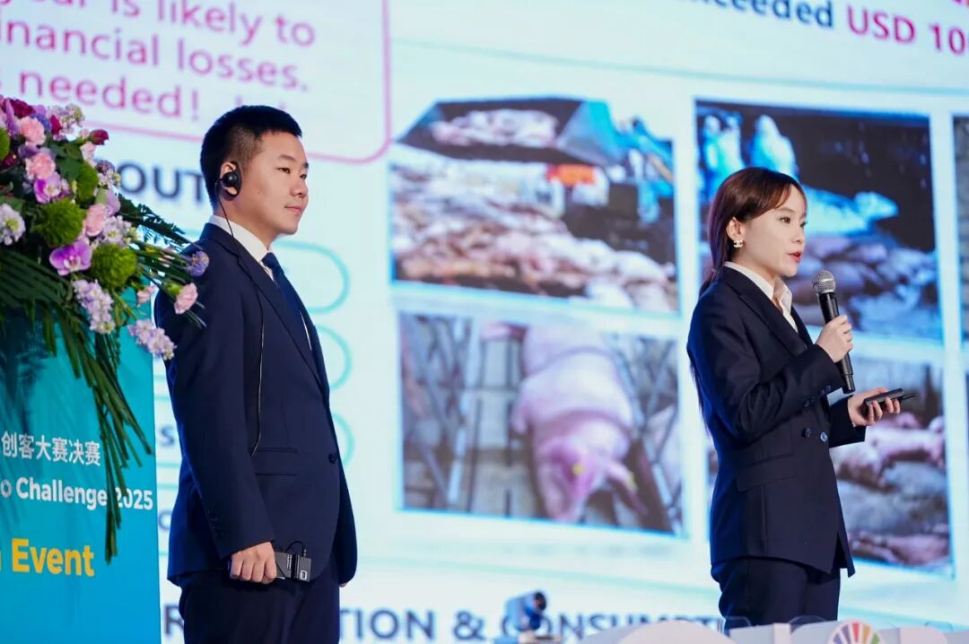 ▲现场路演环节，中国猪群实时守护战团队代表介绍项目。傅俊豪|摄