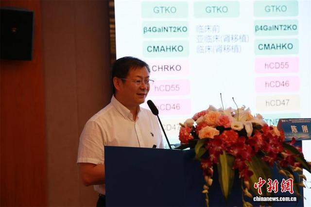 专家发言。王爵 摄