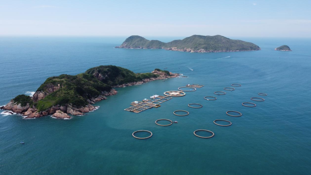 海水养殖示意图（惠州海域深水网箱养殖）