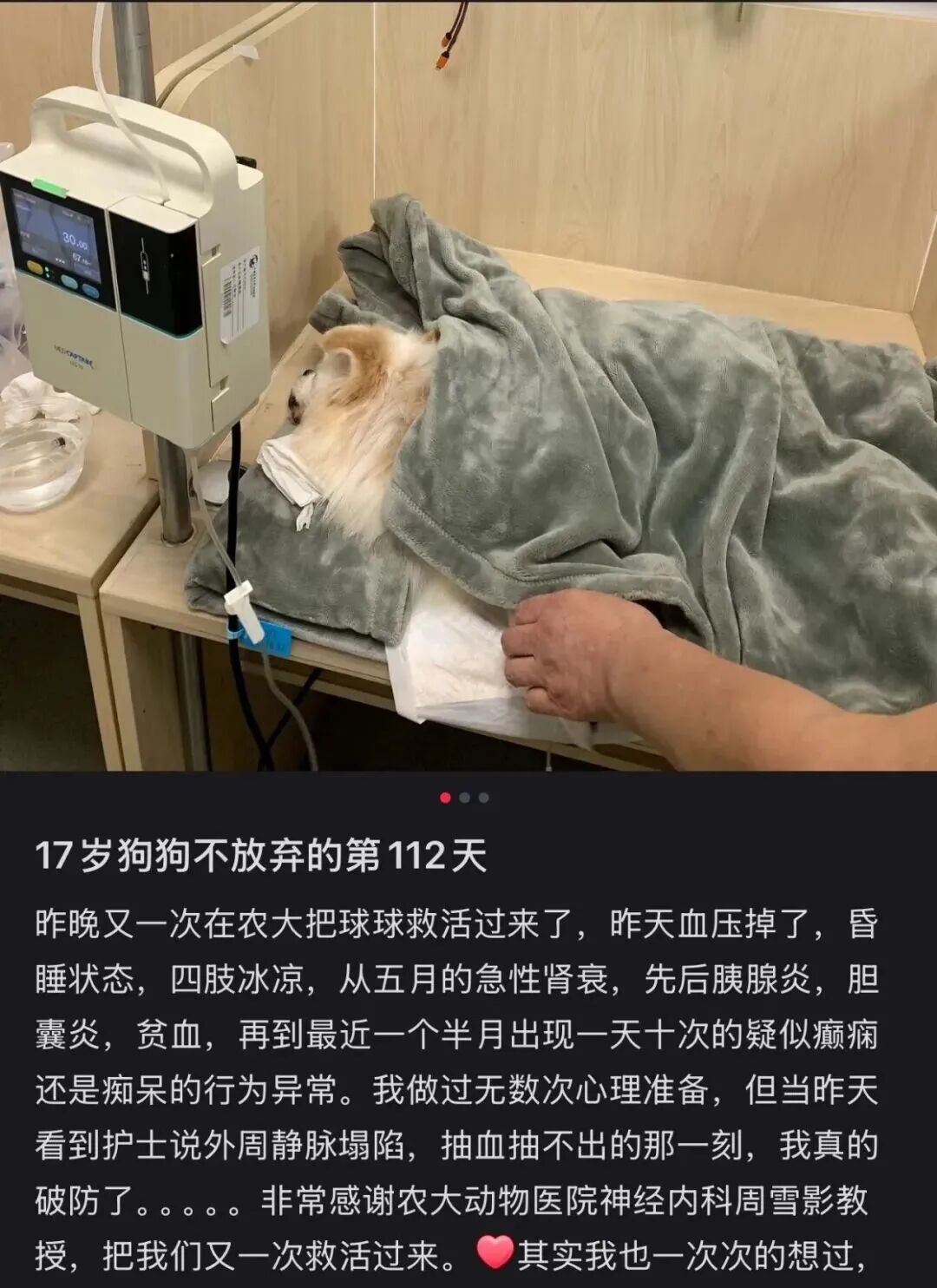 图源小红书用户@每天都可以开心呀