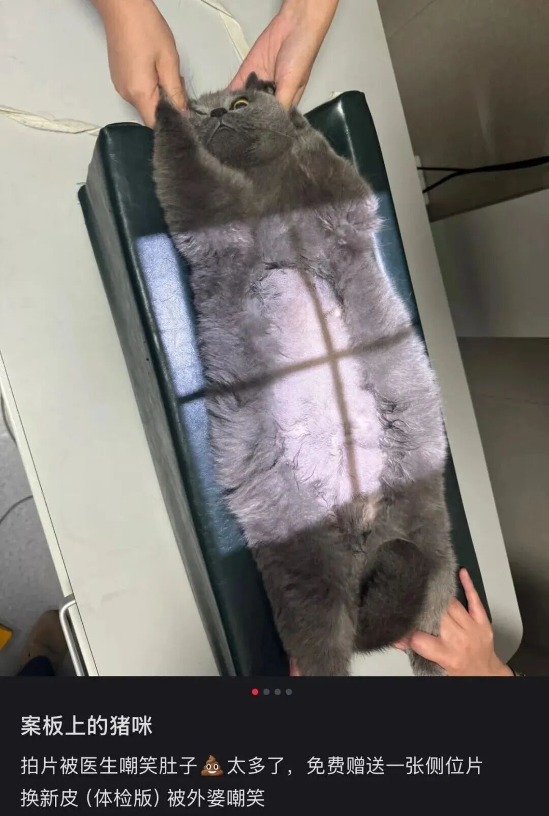 图源小红书用户@今天没有喝奶茶