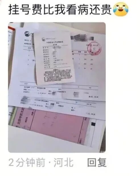 图源新浪微博@陈皓然icon