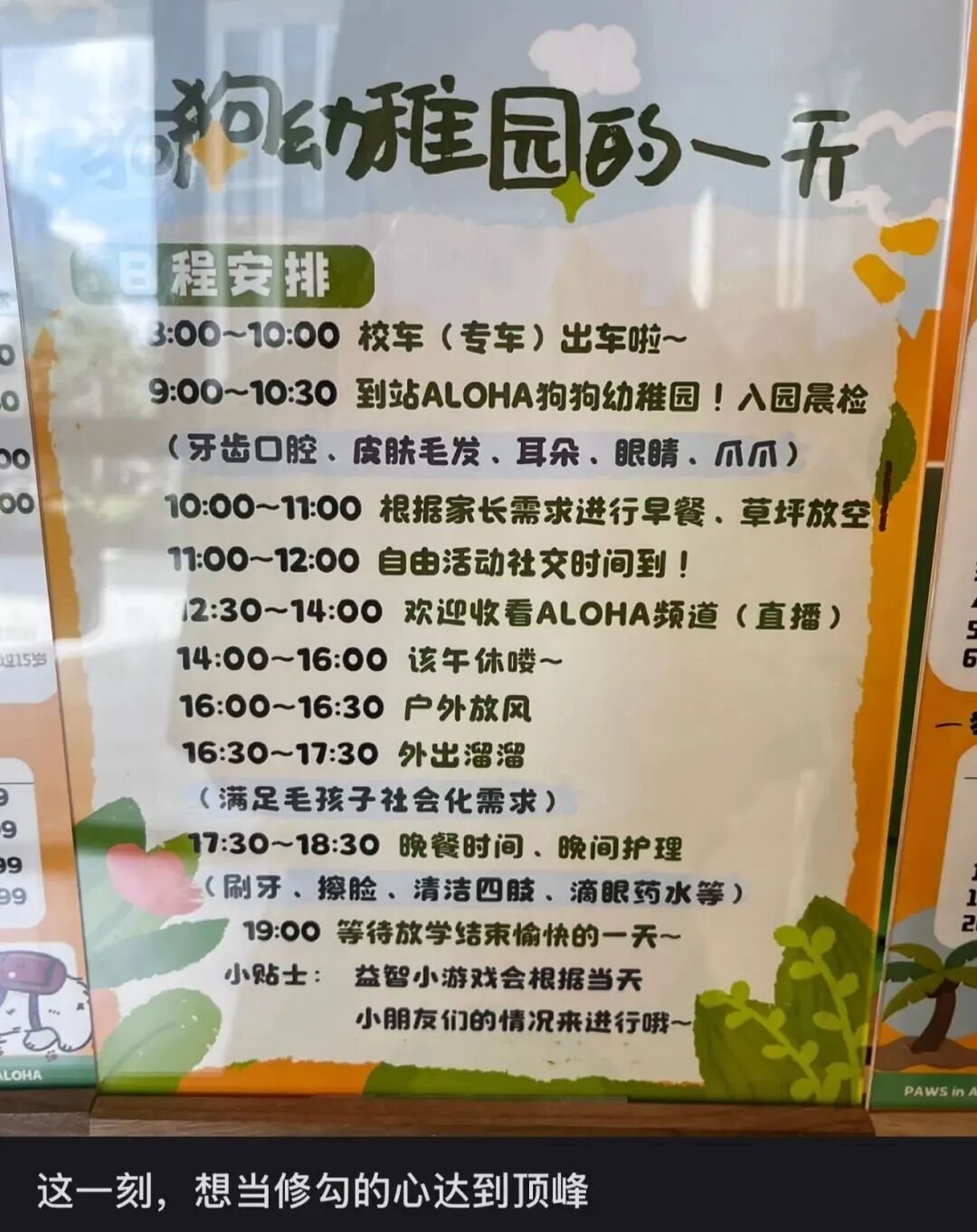 图源小红书用户@宇宙岛民