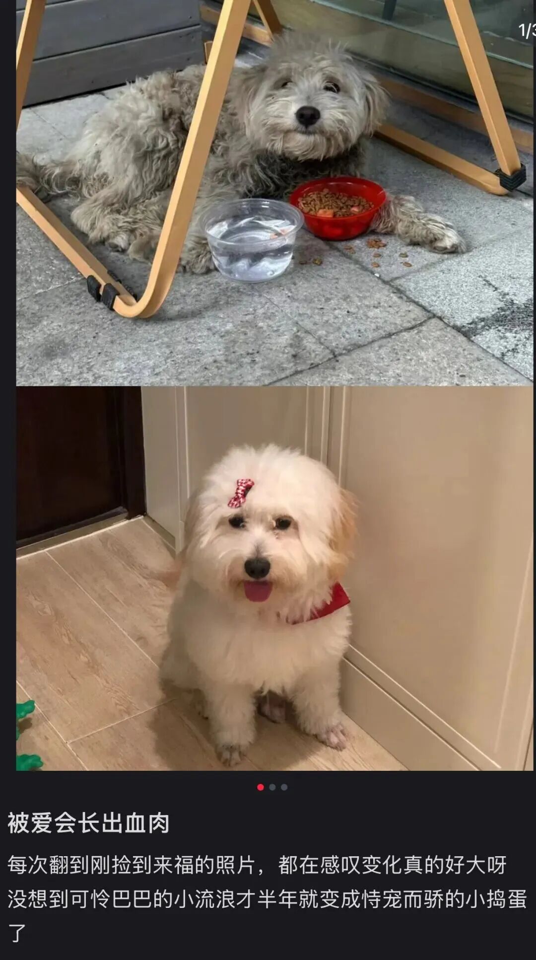 图源小红书用户@是沙沙呀