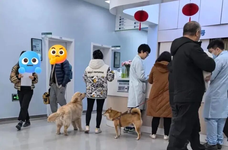 图源小红书用户@苏先生super慢