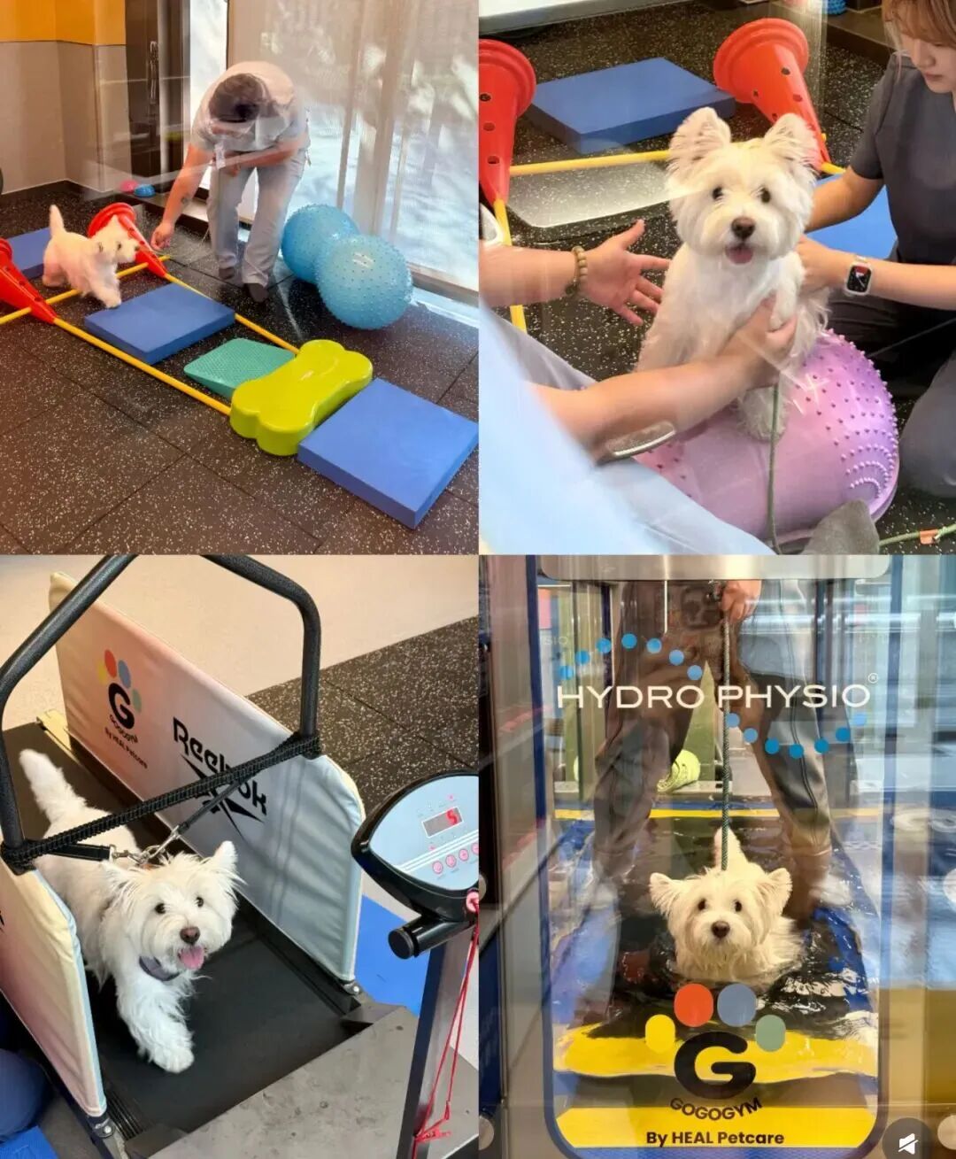 图源小红书用户@biu了个biu