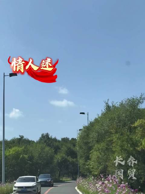 《情*人*迷》二人转完整版|二人转|情*人*迷_新浪新闻