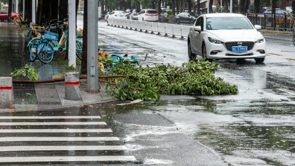9月8日，廣東珠海，路邊樹(shù)木倒伏，共享單車(chē)被風(fēng)吹倒。
