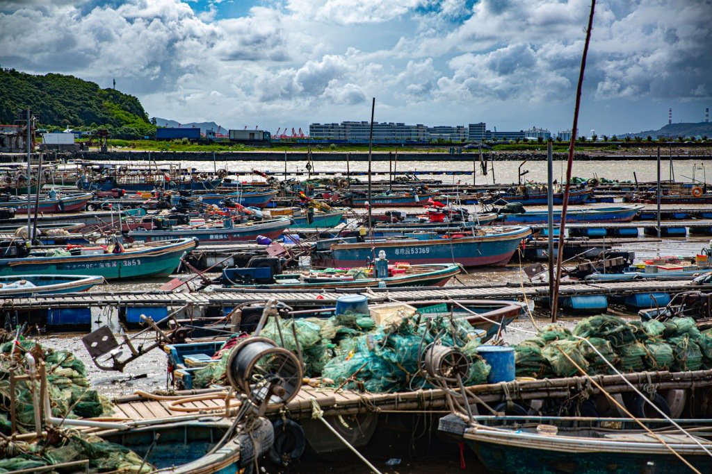 9月7日，廣東珠海，漁船回港避風(fēng)。