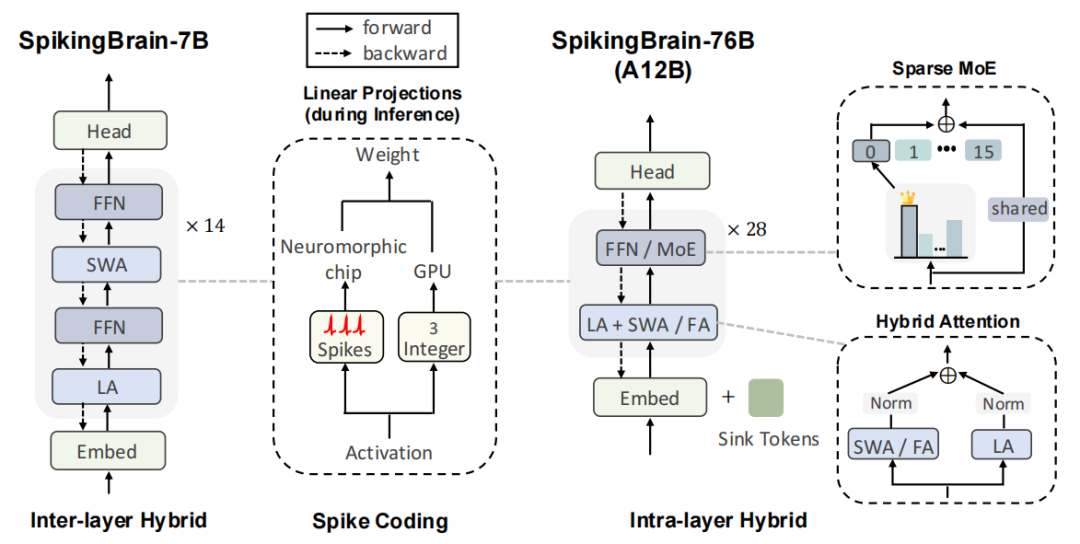 图2. SpikingBrain网络架构