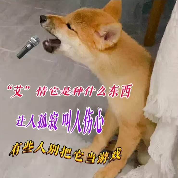 图源：@寿司和芥末