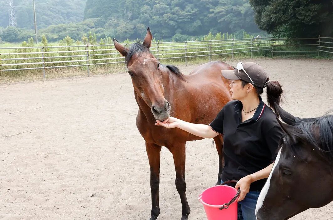 晚年生活在玛莎马场的春乌菈菈