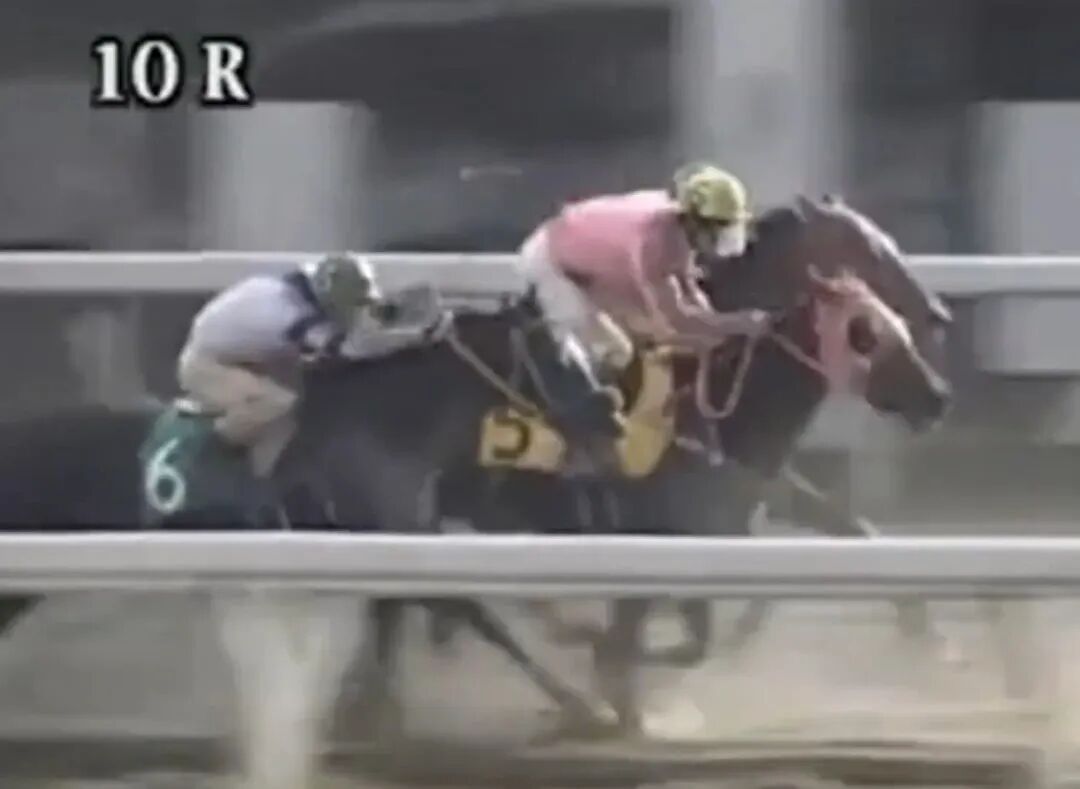 赛中的武丰与乌菈菈