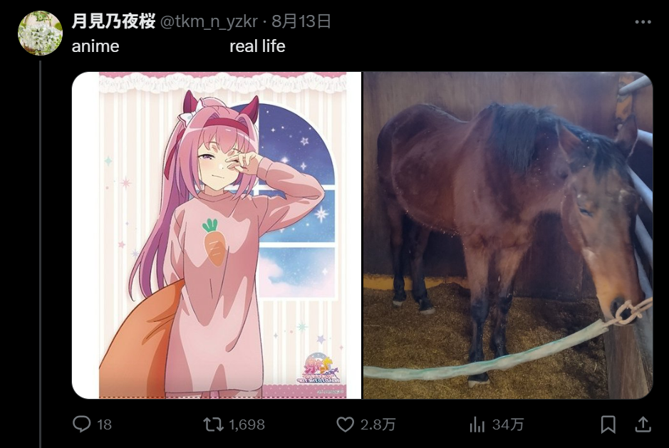 在驯养师和粉丝的陪伴下，春乌菈菈的晚年并不孤独