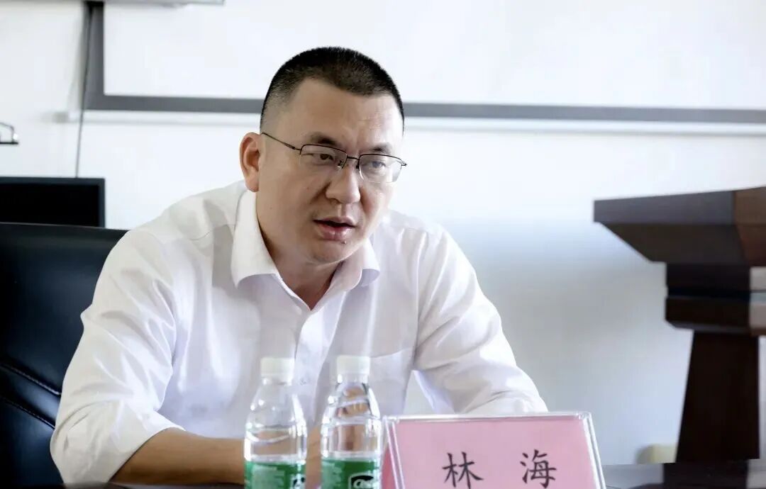 当过区委书记的林海，长期沉迷网络游戏|林海_新浪财经_新浪网