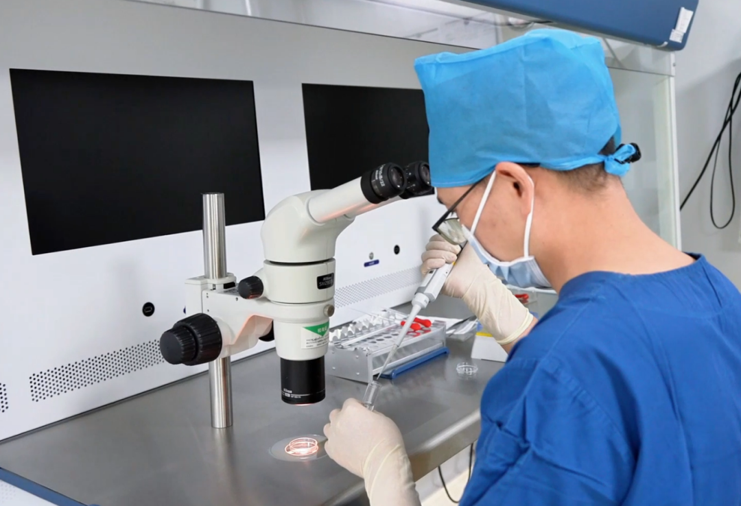 党参提取物 党参提取物