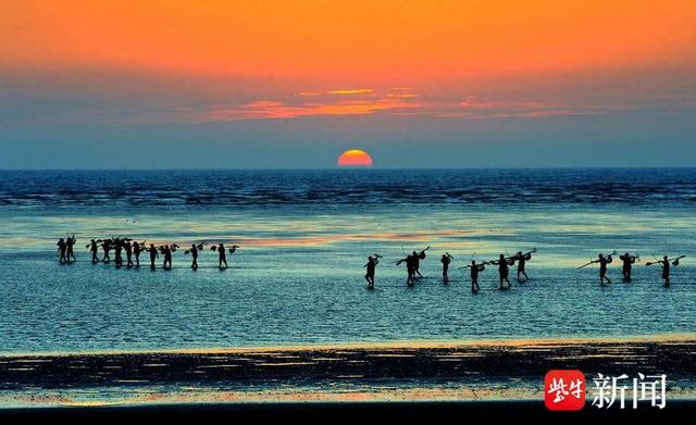 江海相约 邂逅启东的文旅“高光时刻”|文旅_新浪财经_新浪网