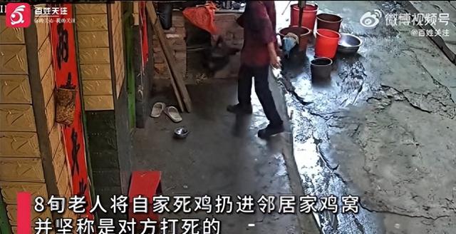 八旬老人扔死鸡诬陷邻居并抓活鸡抵赖 监控还原事发经过|死鸡_新浪财经_新浪网