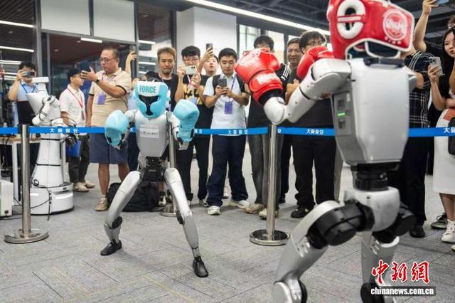 近日，2025互联网岳麓大会上，拳击机器人正在秀技能。中新网记者 唐小晴 摄