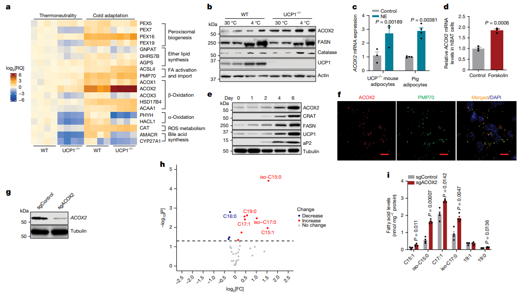 ▲研究示意图（图片来源：参考资料[1]）