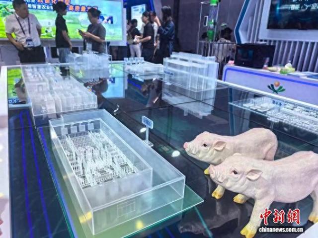 图为第22届中国—东盟博览会“AI+农业”展厅，“未来猪场智能养猪整体解决方案”引人关注。陈梅摄