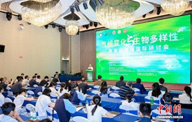 研讨会现场。彭程 摄