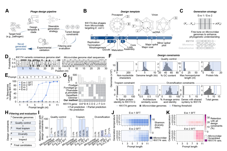 ▲AI设计、筛选示意图（图片来源：参考资料[1]）