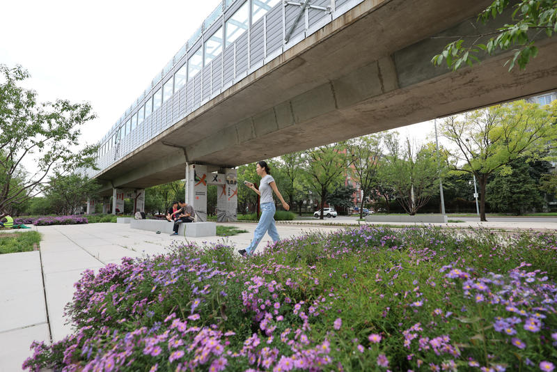 北京一批桥下空间的“颜值”也在不断提升。新京报记者 王贵彬 摄