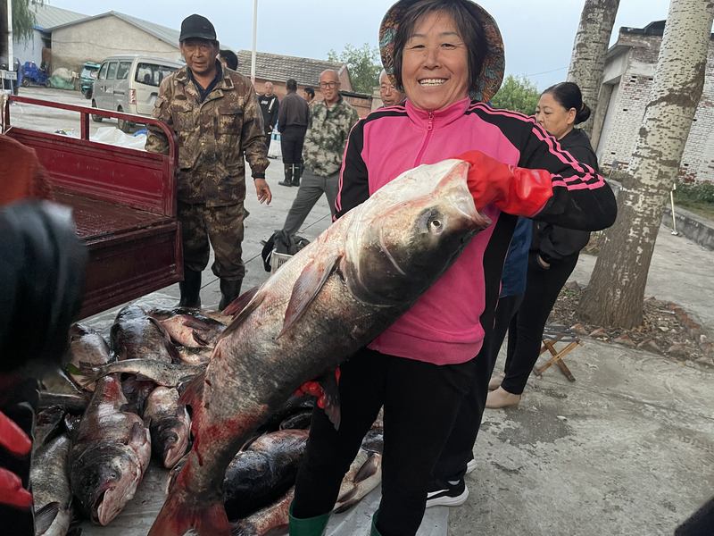 9月25日，渔民刚从水库捕到的大鱼。新京报记者 吴婷婷 摄