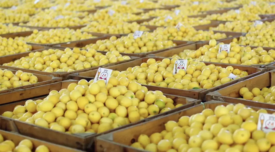 圖源：網(wǎng)絡(luò)